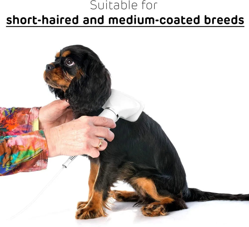 Portable Dog Hair Dryer